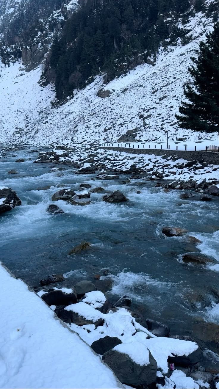 kashmir
