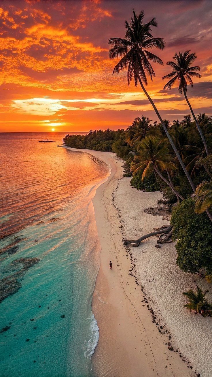 goa