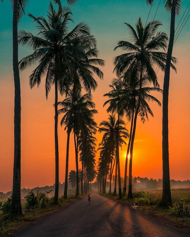 goa1