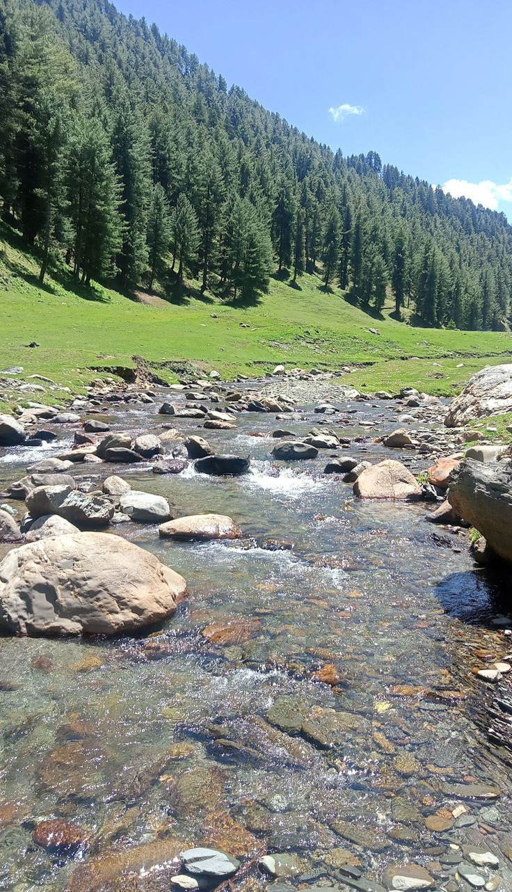kashmir 22